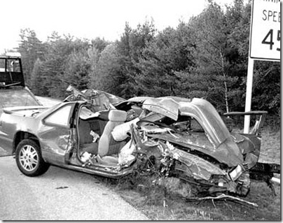 moose-accident-speed-kills